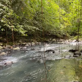 tanah kebun los sungai luas kecil di tabanan bali.