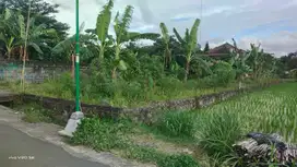 Dijual Cepat Tanah Jalan Damai
