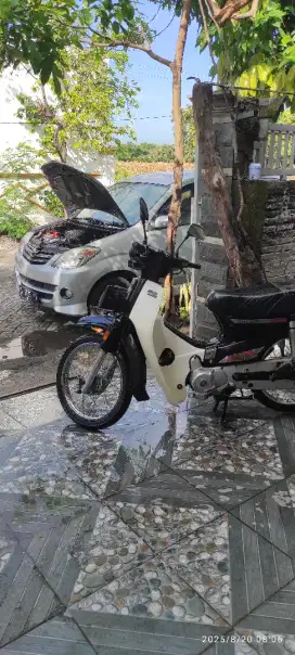 Hond prima tahun 1989