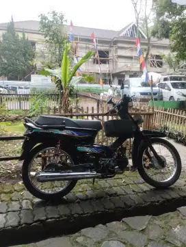 Astrea grand sabit 1996