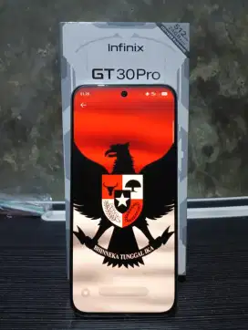 Jual sntai /tt infinix gt 30 pro (12+12) 512) baca keterangan