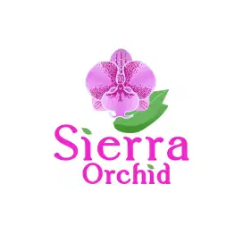 Social media manager wanted