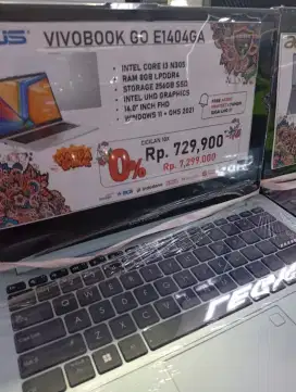ASUS VIVOBOOK GO