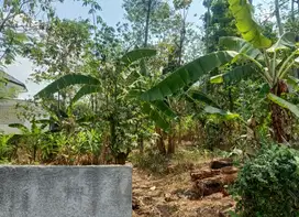 TANAH MURAH, ISTIMEWA STRATEGIS LOKASI,DEKAT KAMPUS UNDIP SEMARANG