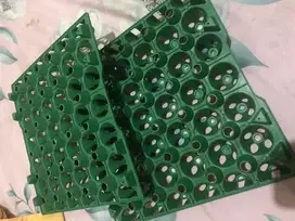 Egg Tray /Tempat telur plastik 30butir