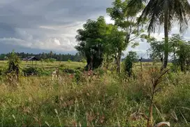 Harga Spesial! Tanah Strategis 12x37m, Bisa 3 Ruko – Jual Cepat!