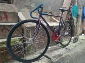 Sepeda Fixie Torpedo