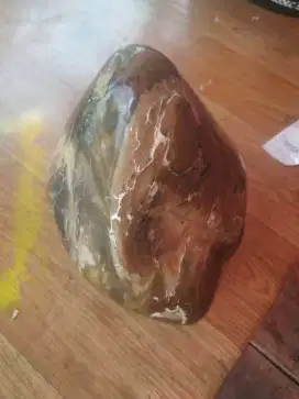 Fossil kayu langkah dingin