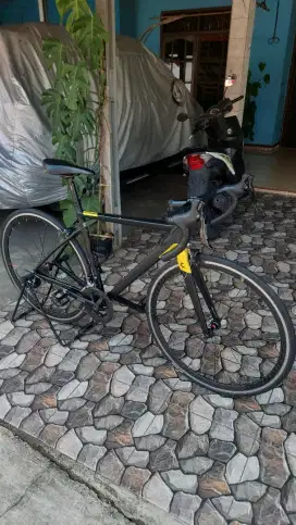 Sepeda roadbike element curved size 51 murah