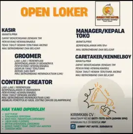 Di cari groomer,kennel boy berpengalaman