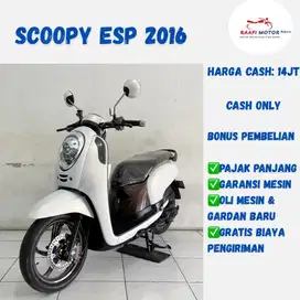 Scoopy esp 2016