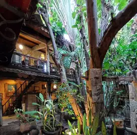 Dijual Rumah Natural Tropis Bertetangga dengan Tugu Jogja