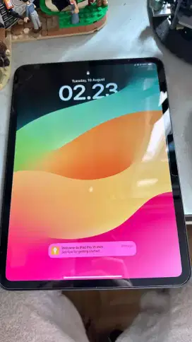 IPAD PRO M4 gen 5