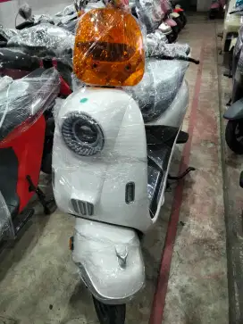 Sepeda listrik T65 L