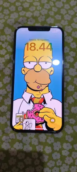 Iphone 12promax 128gb