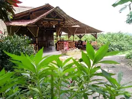 DI JUAL BIDANG USAHA CAFE MURAH VIEW GUNUNG DAN CITY LIGHT BOGOR