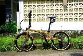 Pacific Analog 2.2 (Glossy Gold) Sepeda Lipet