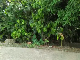 TANAH CANTIK BUAT USAHA DAN RM TINGGAL SUMUD