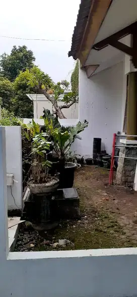 Jual Cepat rumah sek 9 bintaro Jaya, bebas banjir dan sdh SHM