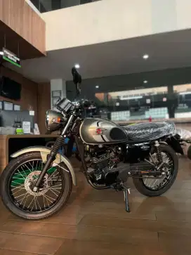 Kawasaki W 175 Se 2025