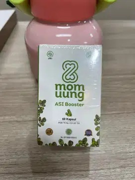 Brand new Asi Booster Mom Uung asi booster