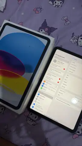 iPad (A16) Ibox