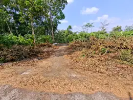Tanah dijual siapa untuk dibangun gudang atau perumahan