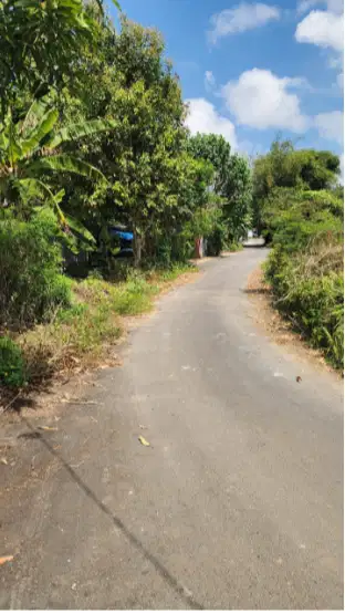 Tanah 31 Are di Kutuh