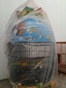 Jual sangkar perkutut bangkok harga 70 ribu nego