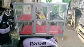 Kandang kucing jumbo