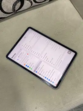 iPad Pro M2 11” 256GB Gray Wifi + Cell ex iBox