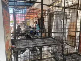 Kandang besarrr buat lahiran kucing