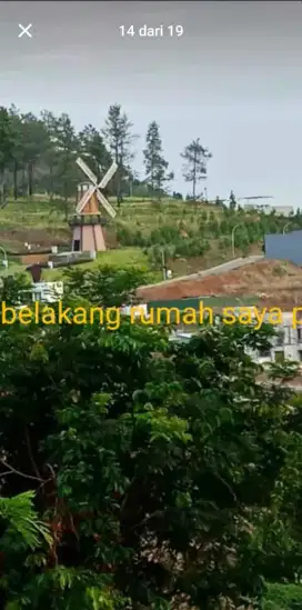 Rumah di lereng gunung arjuno dgn view  yg bagus dibelakang rumah