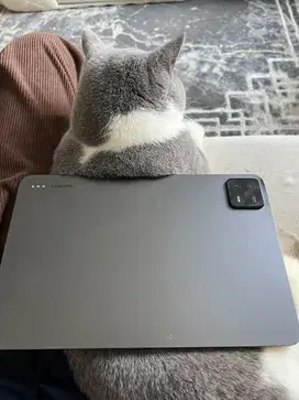 XIAOMI MI PAD 6