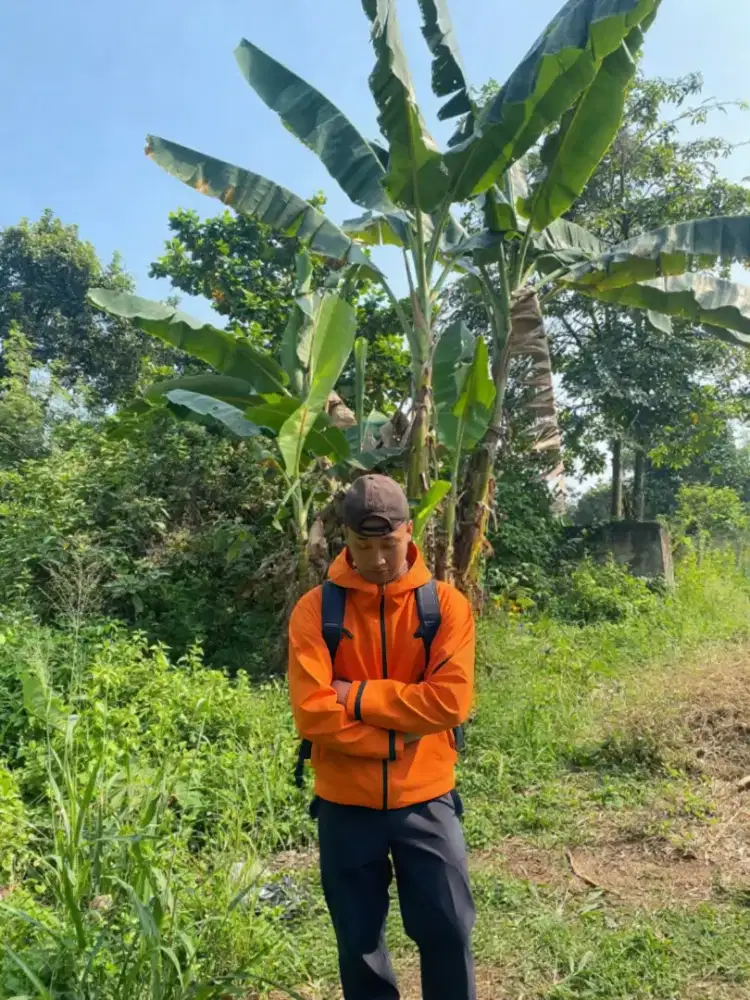 Sedang mencari pekerjaan