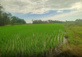 Dijual Tanah sekitar Jalan Poros Kariango, Maros
