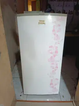 Kulkas 1 Pintu Shap
