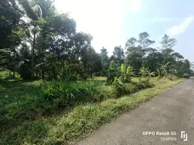 Tanah kebun nuansa pedesaan Sumbang banyumas