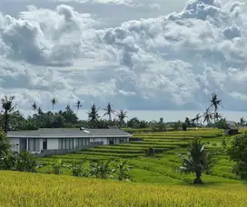 Lokasi Paling Dicari di Bali. 60 Are Tanah Zona Pariwisata.