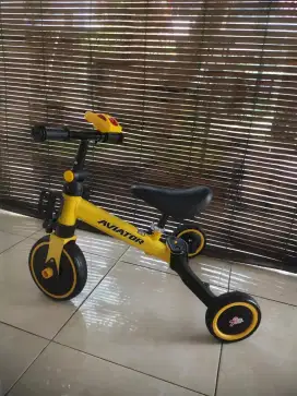 Sepeda roda tiga aviator