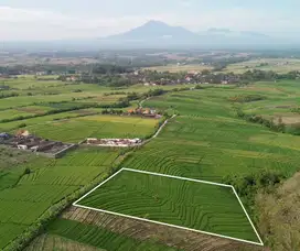 Freehold 6.000m2 Land in Bali's most sought after locations.