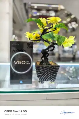 VIVO V50 Lite 5G 8+256GB cash, kredit, cicilan mulai 0%,tukar-tambah,