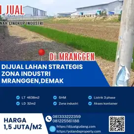 Dijual Tanah Zona Industri Super Strategis Mranggen Demak Luas 4638m2