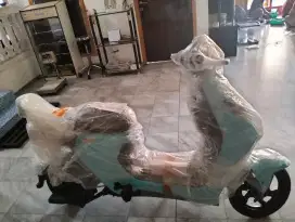 Sepeda listrik tipe uwinfly D65