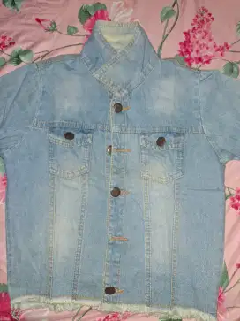 Jaket levis crop rawis