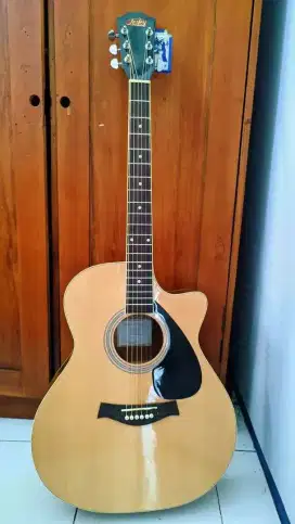 AKUSTIK ELEKTRIK LESLEY AC01