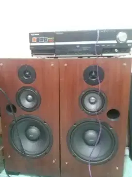 Speaker audax original 10 in 3 why plus polytron bigband