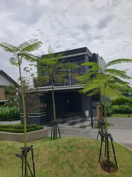 Rumah Dijual Park Serpong Tipe BLACKSLATE by Lippo FREE PPN 11%