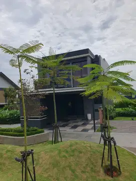 Rumah VIRAL Park Serpong Tipe BLACKSLATE by LIPPO Free PPN 11%