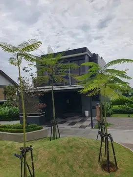 Rumah VIRAL Park Serpong Tipe BLACKSLATE by Lippo FREE PPN 100%